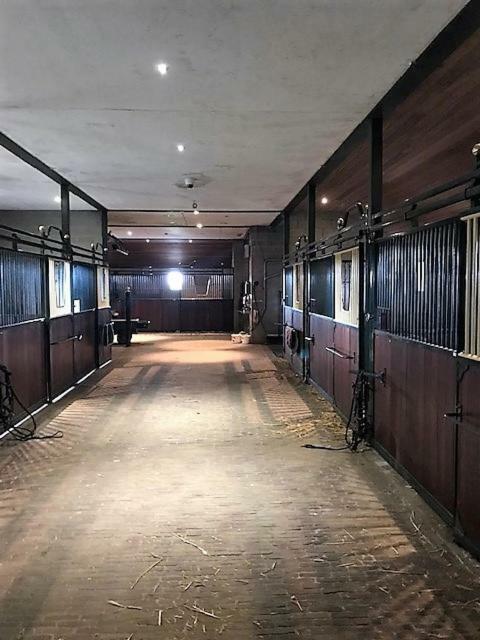 House Zoute Stables 125Sqm In 5 Ha Property Near Seaside In Knokke Villa Eksteriør bilde